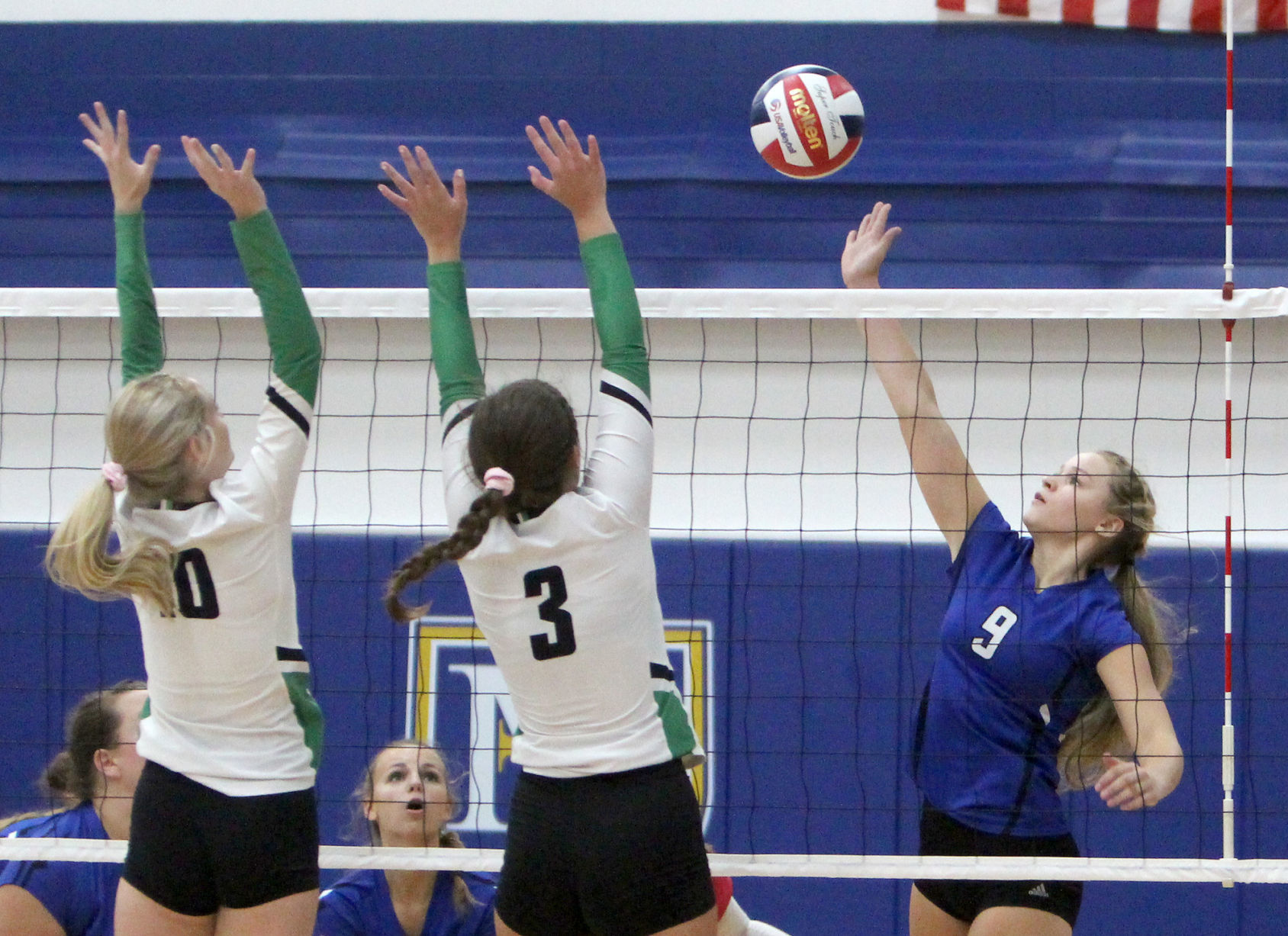 Eau Claire Regis at McDonell volleyball 9-12-19